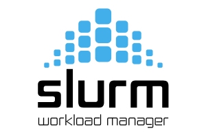 slurm
